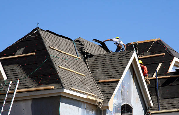 Best Roof Gutter Cleaning  in Black River Falls, WI