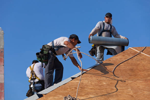 Best Metal Roofing Contractor  in Black River Falls, WI