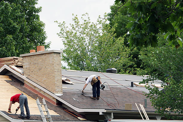 Best Flat Roof Repair Services  in Black River Falls, WI