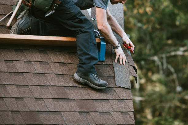 Best Local Roofing Companies  in Black River Falls, WI